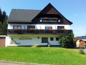 Гостиница Quellenhof Altenau, Альтенау